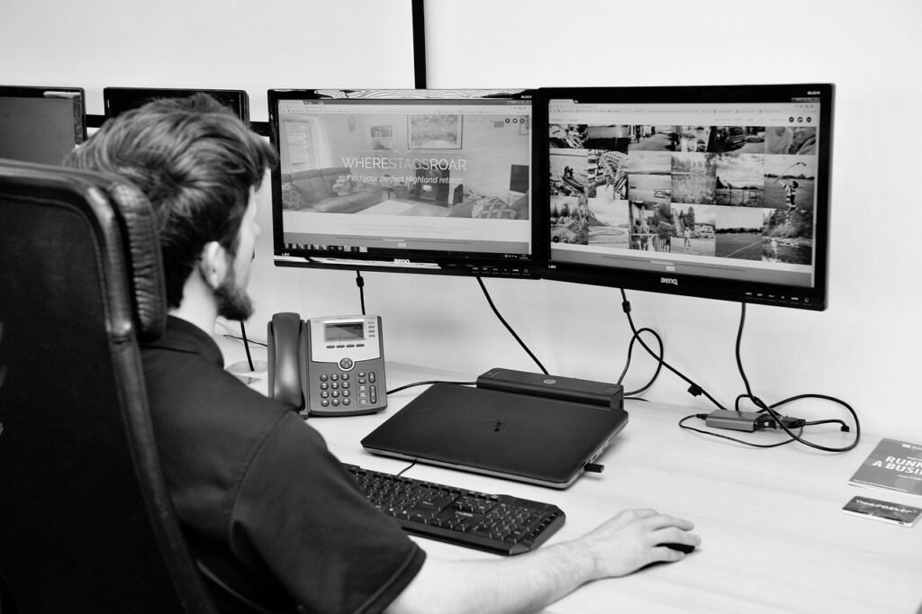 professional website