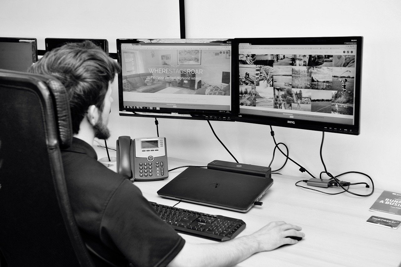 professional website